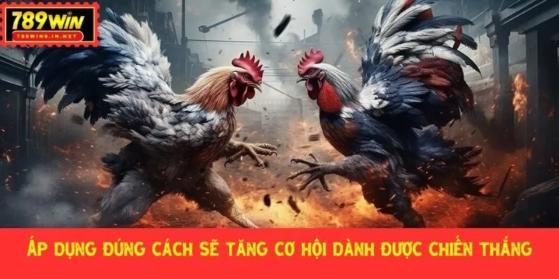 Áp dụng đúng cách sẽ tăng cơ hội dành được chiến thắng