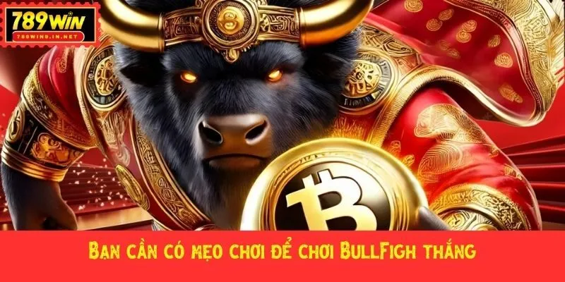 Bạn cần có mẹo chơi để chơi BullFigh thắng