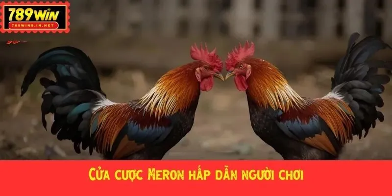Cửa cược Meron hấp dẫn người chơi